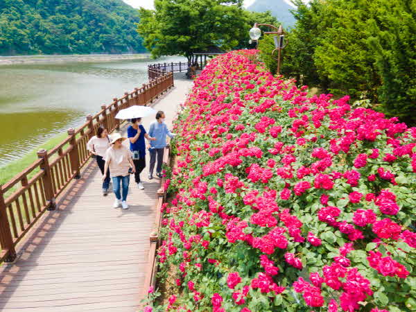 꾸미기_12보도3)장미터널 스케치 (1).jpg