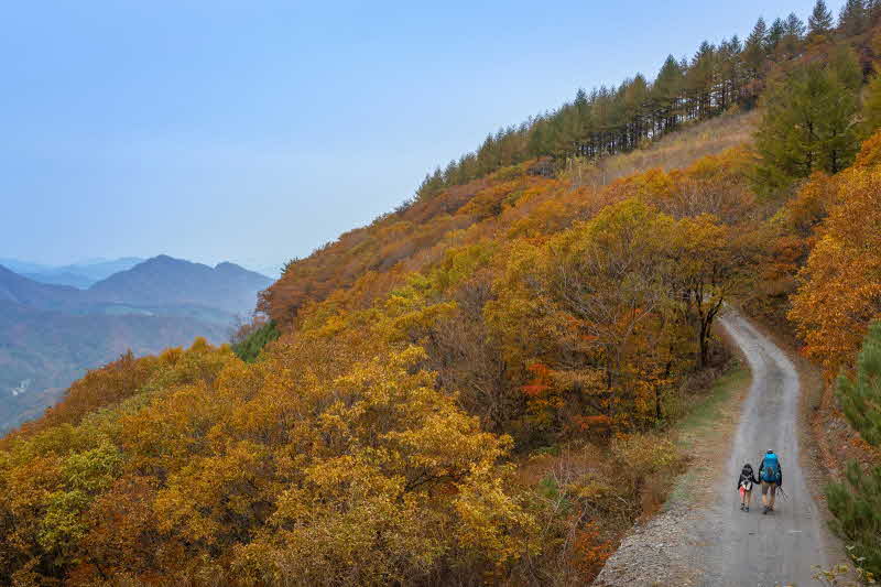 하이원리조트 가을 하늘길(사진 왼쪽으로 백두대간이 펼쳐져 있다).jpg