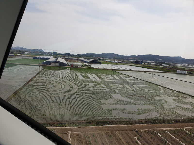 1. 스카이큐브 내부에서 촬영한 홍내뜰 들판정원(1구역).jpg