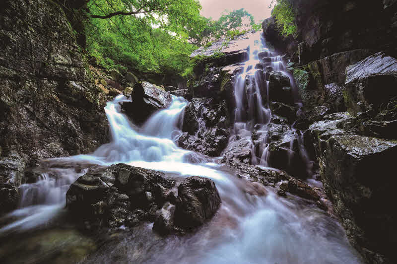 광양시_7월광양여행으로의초대-관광과(백운산어치계곡) (1).jpg