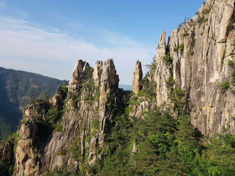 1. 국유림 명품숲(두타산 무릉계곡 숲).jpg