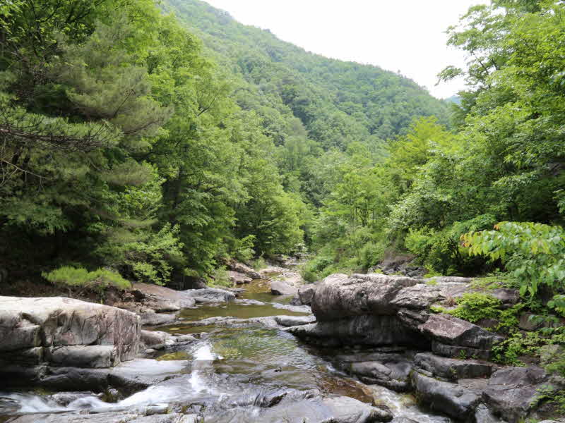 4. 국유림 명품숲(운장산 갈거계곡 숲).jpg