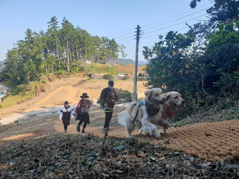 땅끝황토나라테마촌 생태탐방로 트레킹.jpg