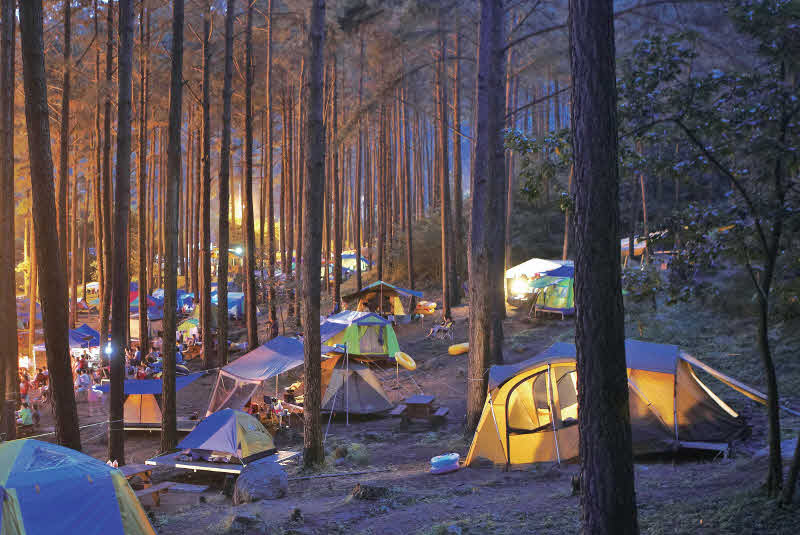 광양시_테마여행10선‘남도바닷길캠핑대전’연다-관광과(백운산자연휴양림야영장).jpg