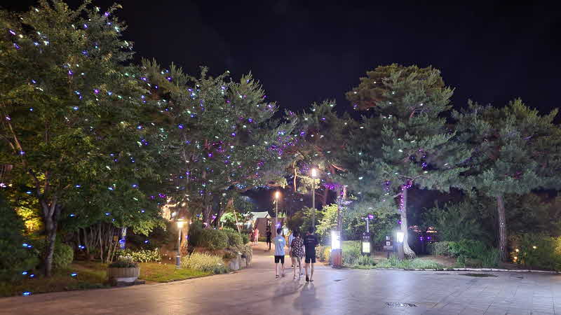 [하이원리조트]그랜드 광장 포토 스폿 (2).jpg