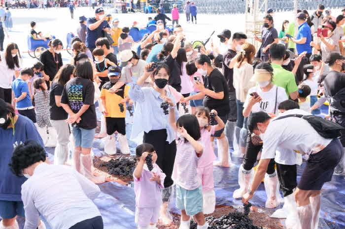 포도 밟기 (3).jpg