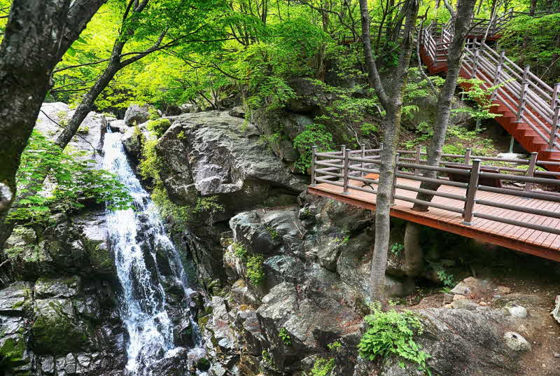 명품숲길- 광양 어치 청량숲길 수정.jpg