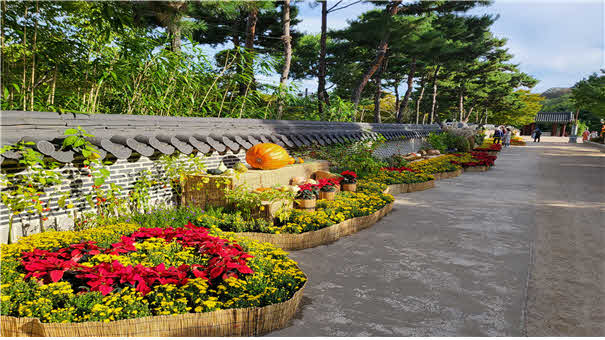 월미공원 국화 및 호박 전시 사진.jpg