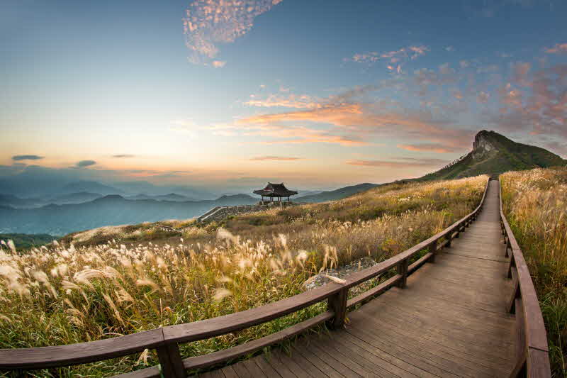 산청 황매산 가을 억새 풍경.jpg