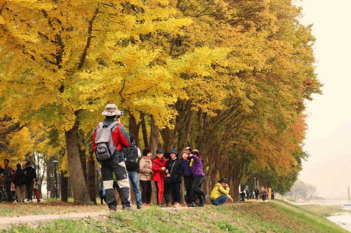 1. 금강둘레길 가을풍경(예전 사진) (1).jpg