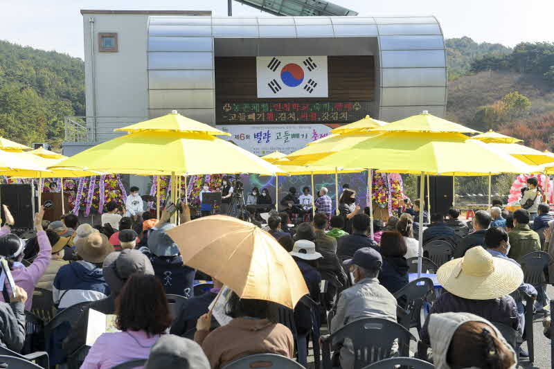 7.지난달 29일 열린 제6회 별량 고들빼기 축제1.JPG
