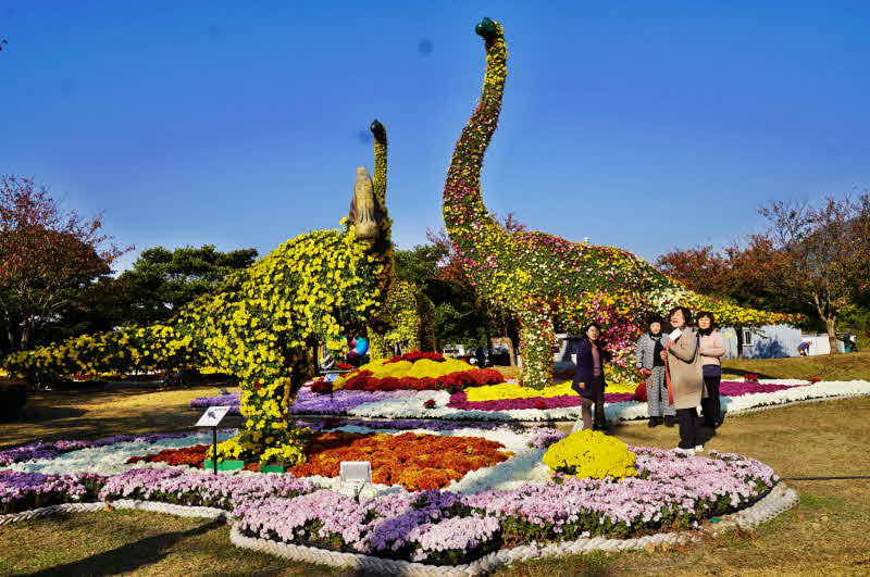 4-해남미남축제장 국화 조형물 전시.JPG