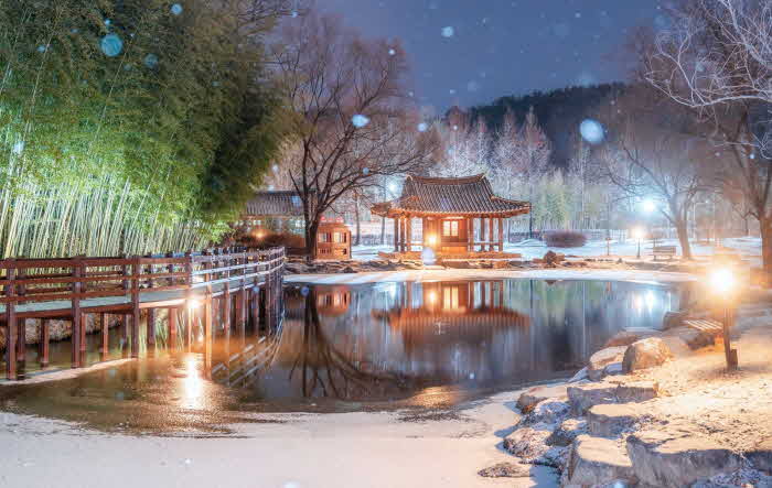 카타르 월드컵서 홍보 관광지- 담양 죽녹원 겨울밤.jpg