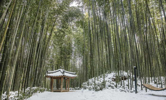 한국관광 100선- 담양 죽녹원.jpg