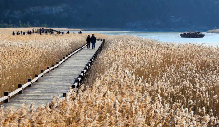 한국관광 100선- 순천만습지.jpg