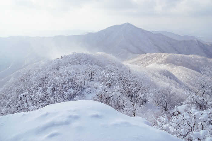 광양시_환상적인겨울백운산눈꽃여행떠나볼까-관광과3.jpg