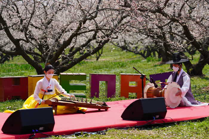 13-땅끝매화축제 랜선 공연 DSC04926.JPG