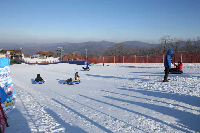 하이원스키장 눈썰매장.JPG