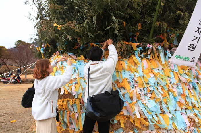 3.5일 정월대보름에 태울 달집에 소원지를 끼우고 있는 관광객.jpg