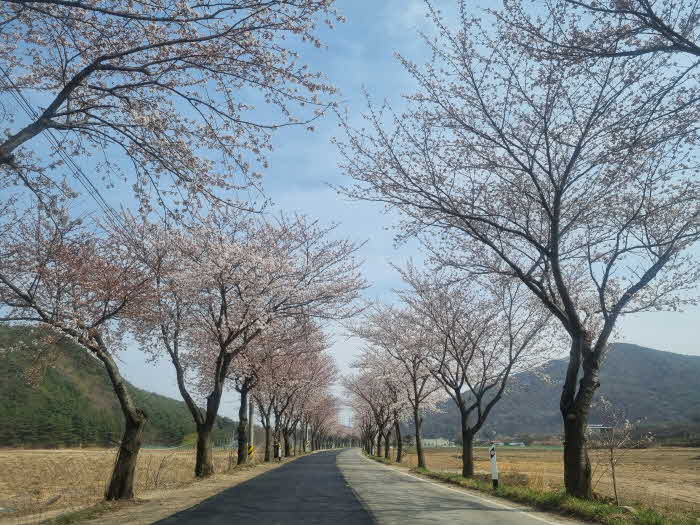 옥계저수지-가야산 주차장 길.jpg