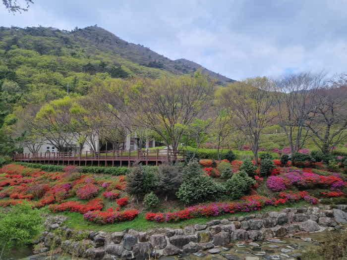 12-흑석산자연휴양림 전경.jpg