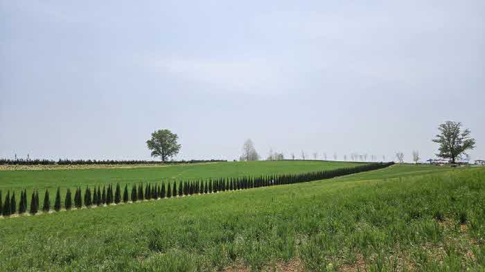 3-1.5월안성여행 안성팜랜드_ofr_ofr_cri8cSovCQxCBwHS_20230511132258311_2.jpg_ratioView_null.jpg