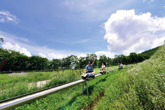 [하이원리조트] 알파인코스터.jpg