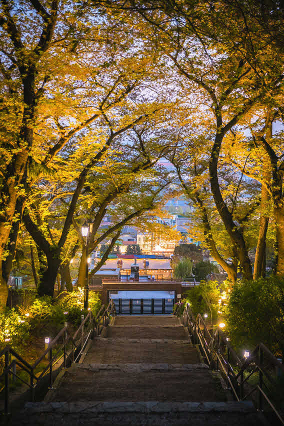 자유공원.jpg