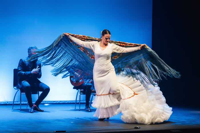 [사진] 어센틱 플라멩코(Authentic Flamenco).jpg