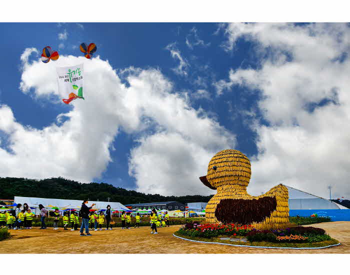 제15회 아름다운 괴산 관광사진 전국공모전 수상작 선정(금상-오리와 함께).jpg