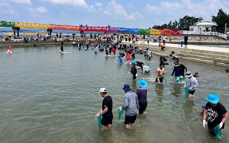 보도사진(3)-함평군, 돌머리해수욕장 뱀장어 잡기 체험 행사 성황.jpg