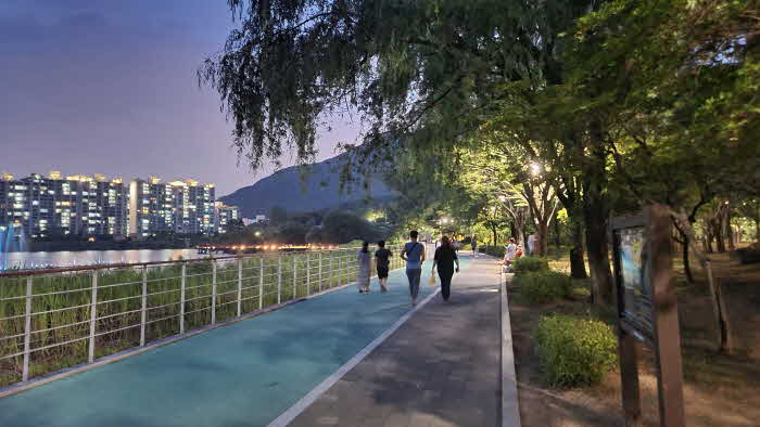 사진(대구 수변공원 가로수길).jpg