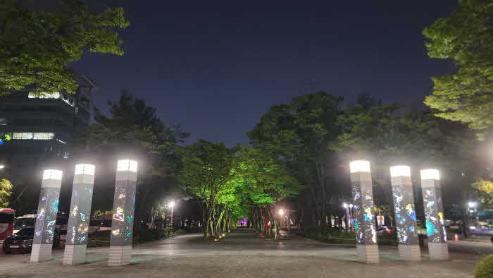 사진(대전 보라매공원 가로수길).jpg