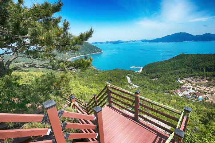 여름철 걷고 싶은 숲길- 완도 약산 해안치유숲길.jpg