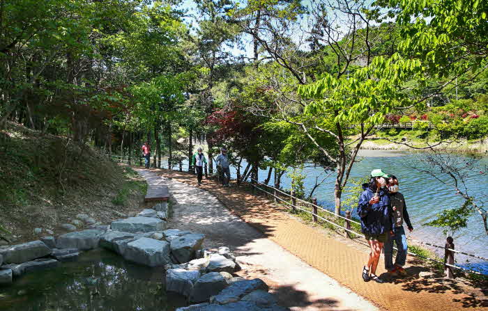 여름철 걷고 싶은 숲길- 목포 양을산 수변숲길.jpg