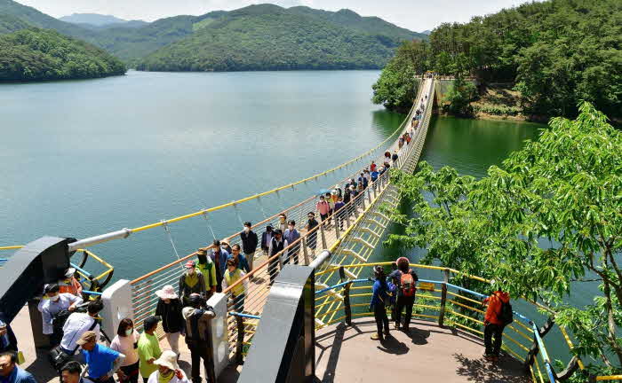 여름철 걷고 싶은 숲길- 장성호 출렁다리.jpg