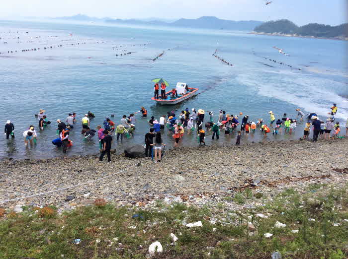워케이션 마을로 지정된 노화읍 북고리의 전복 체험 모습 (1).JPG