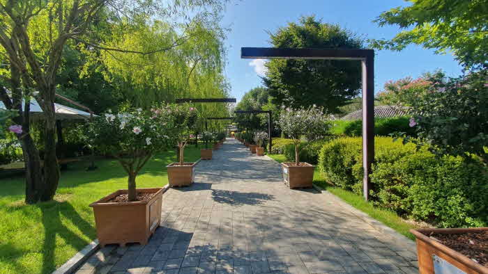 1.순천만국가정원 서원에 700여 점의 무궁화 분화가 전시되어 있다3.jpg