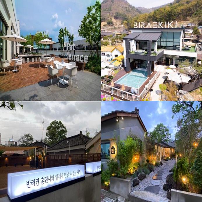 사진(대전관광공사_  '대전 반려동물 친화 인증' 13개 업체 선정).jpg