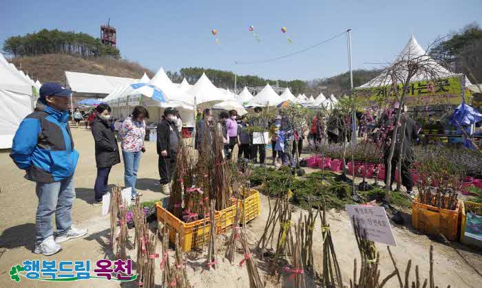 제21회 옥천묘목축제 묘목 전시판매장.jpg