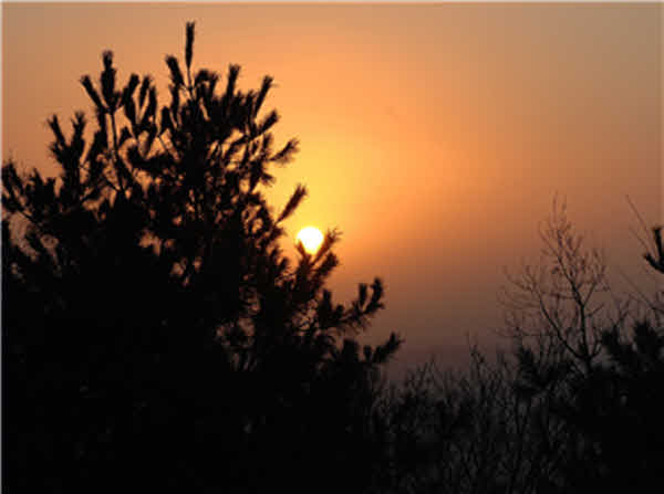 image05.jpg