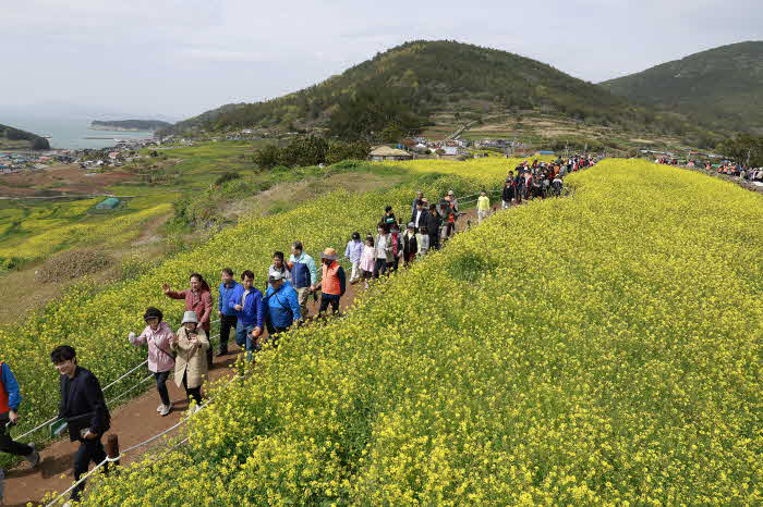 사진은 지난해 청산도 슬로걷기 축제를 찾은 관광객들 모습.JPG