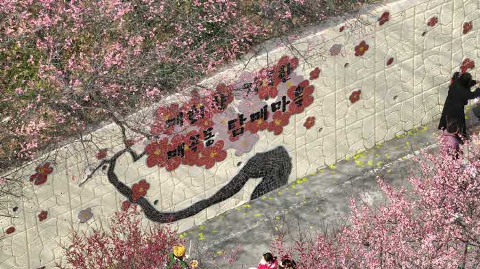 5 제6회 순천시 매곡동 탐매축제 사진.jpg