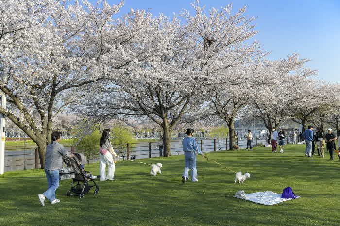 1 2024년 반려동물친화관광도시 공모 최종 선정 (2).jpg