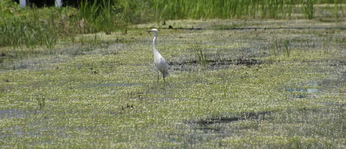 image02.jpg