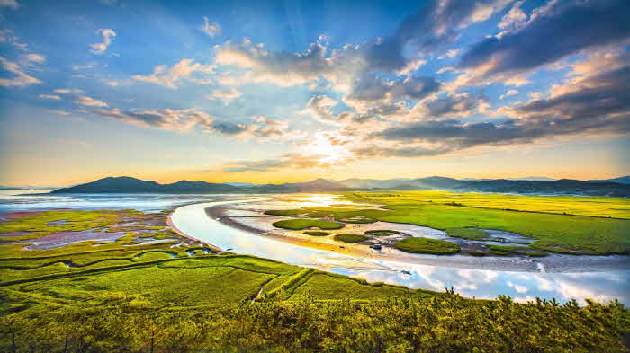 1 디지털 트윈기반 순천만습지 조성 시뮬레이션 공모 선정.jpg