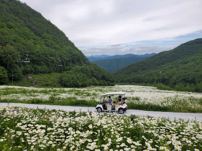 2023년(지난 6월)하늘길 카트투어.jpg