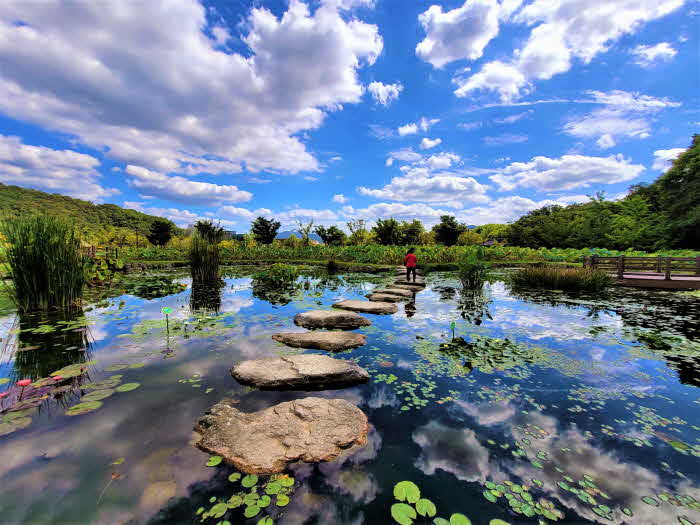 함양 상림공원 모습.jpg