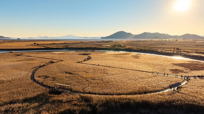 2 순천만갈대숲 (2).jpg