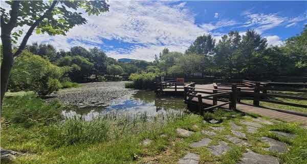 01-1 청주시 원흥이생태공원, ‘50대 아름다운 도시숲’ 선정_사진.jpg